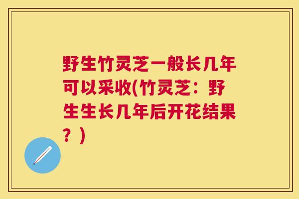野生竹灵芝一般长几年可以采收(竹灵芝:野生生长几年后开花结果?) 野生竹灵芝一般长几年可以采收(竹灵芝:野生生长几年后开花结果?)