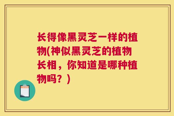 长得像黑灵芝一样的植物(神似黑灵芝的植物长相，你知道是哪种植物吗？)