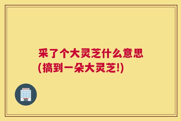 采了个大灵芝什么意思(搞到一朵大灵芝!)