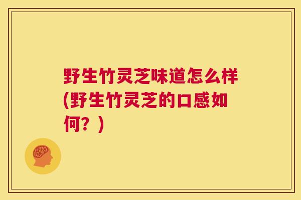 野生竹灵芝味道怎么样(野生竹灵芝的口感如何？)