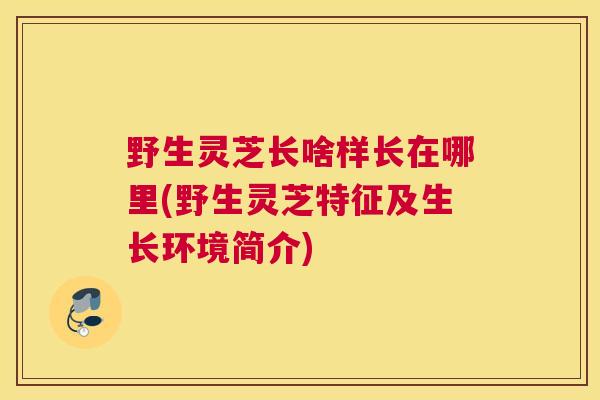 野生灵芝长啥样长在哪里(野生灵芝特征及生长环境简介)
