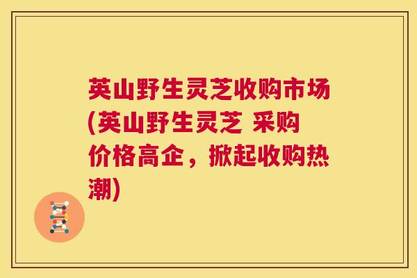 英山野生灵芝收购市场(英山野生灵芝 采购价格高企，掀起收购热潮)