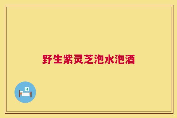 野生紫灵芝泡水泡酒 野生紫灵芝泡水泡酒