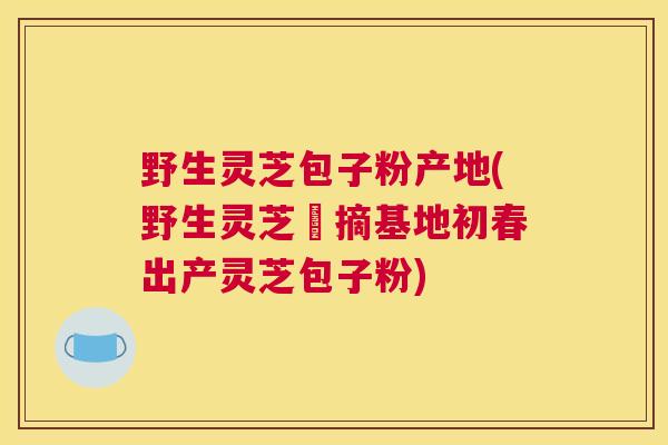 野生灵芝包子粉产地(野生灵芝採摘基地初春出产灵芝包子粉)