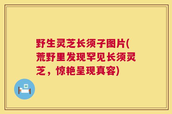 野生灵芝长须子图片(荒野里发现罕见长须灵芝，惊艳呈现真容)
