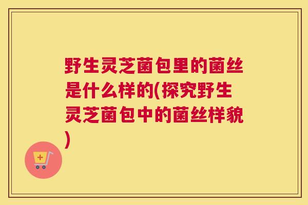 野生灵芝菌包里的菌丝是什么样的(探究野生灵芝菌包中的菌丝样貌)