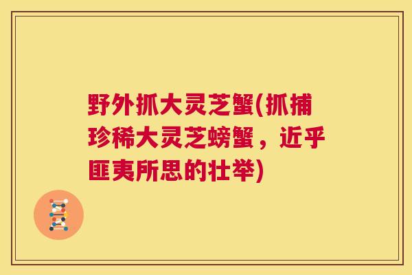 野外抓大灵芝蟹(抓捕珍稀大灵芝螃蟹，近乎匪夷所思的壮举)