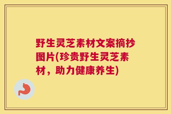 野生灵芝素材文案摘抄图片(珍贵野生灵芝素材,助力健康养生) 野生灵芝素材文案摘抄图片(珍贵野生灵芝素材,助力健康养生)