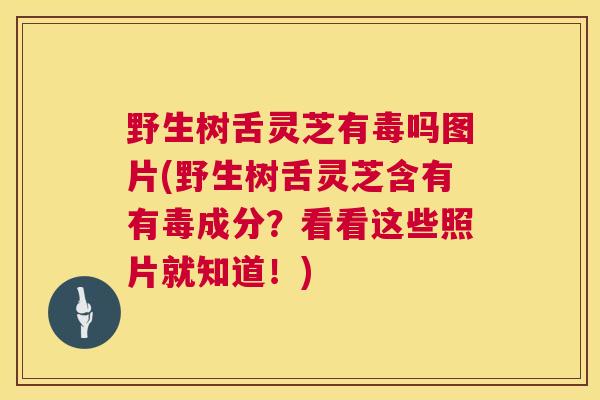 野生树舌灵芝有毒吗图片(野生树舌灵芝含有有毒成分？看看这些照片就知道！)