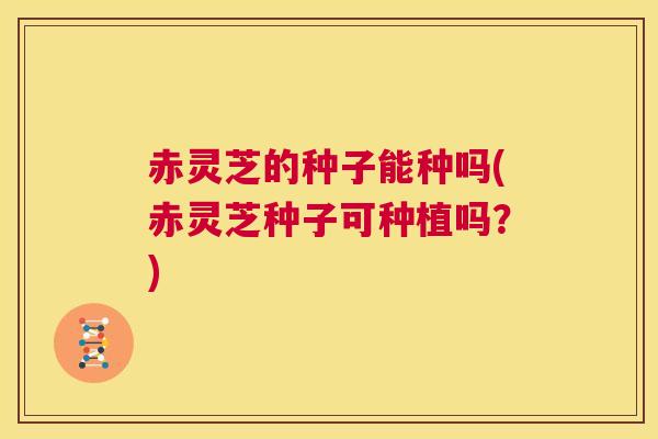 赤灵芝的种子能种吗(赤灵芝种子可种植吗？)