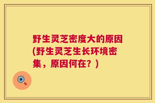 野生灵芝密度大的原因(野生灵芝生长环境密集，原因何在？)