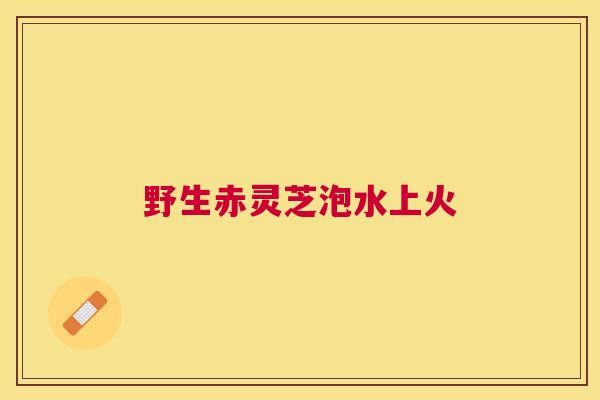 野生赤灵芝泡水上火
