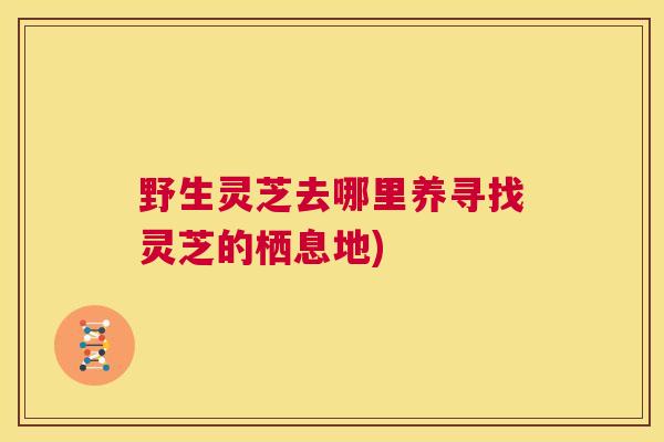野生灵芝去哪里养寻找灵芝的栖息地)
