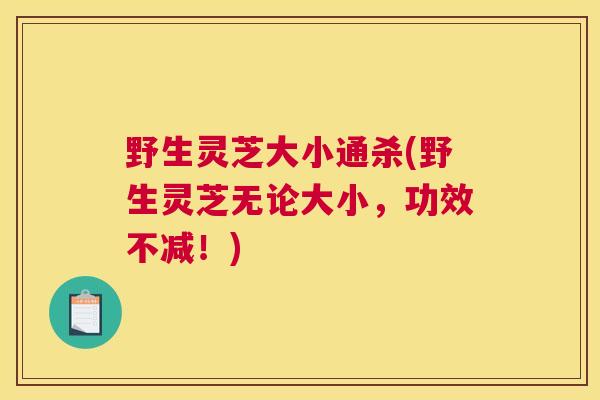 野生灵芝大小通杀(野生灵芝无论大小，功效不减！)