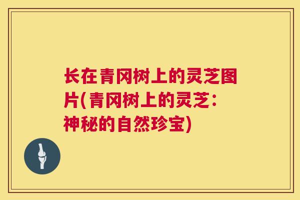 长在青冈树上的灵芝图片(青冈树上的灵芝：神秘的自然珍宝)