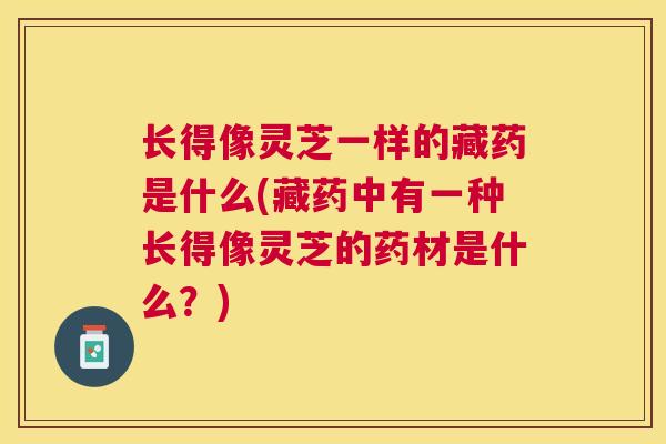 长得像灵芝一样的藏药是什么(藏药中有一种长得像灵芝的药材是什么？)
