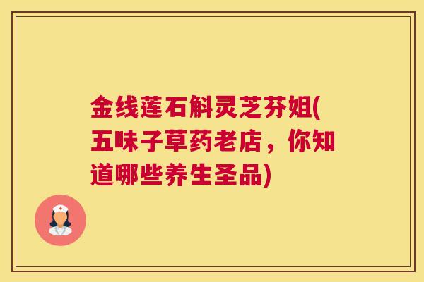金线莲石斛灵芝芬姐(五味子草药老店，你知道哪些养生圣品)