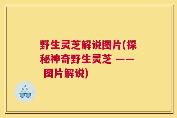 野生灵芝解说图片(探秘神奇野生灵芝 —— 图片解说)