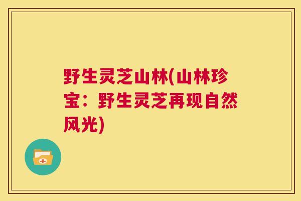 野生灵芝山林(山林珍宝：野生灵芝再现自然风光)