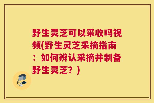 野生灵芝可以采收吗视频(野生灵芝采摘指南：如何辨认采摘并制备野生灵芝？)