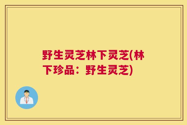 野生灵芝林下灵芝(林下珍品:野生灵芝) 野生灵芝林下灵芝(林下珍品:野生灵芝)