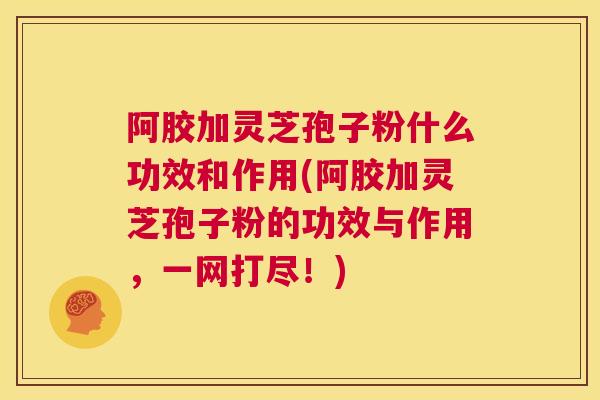 阿胶加灵芝孢子粉什么功效和作用(阿胶加灵芝孢子粉的功效与作用，一网打尽！)