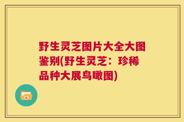野生灵芝图片大全大图鉴别(野生灵芝：珍稀品种大展鸟瞰图)