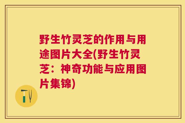 野生竹灵芝的作用与用途图片大全(野生竹灵芝：神奇功能与应用图片集锦)