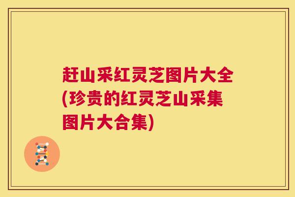 赶山采红灵芝图片大全(珍贵的红灵芝山采集图片大合集)