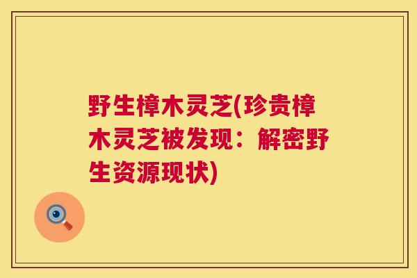野生樟木灵芝(珍贵樟木灵芝被发现：解密野生资源现状)