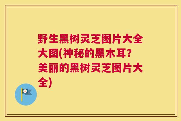 野生黑树灵芝图片大全大图(神秘的黑木耳？美丽的黑树灵芝图片大全)