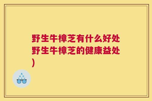 野生牛樟芝有什么好处野生牛樟芝的健康益处)