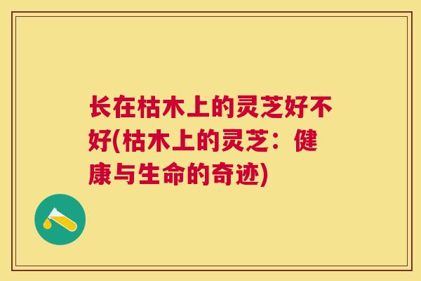 长在枯木上的灵芝好不好(枯木上的灵芝：健康与生命的奇迹)