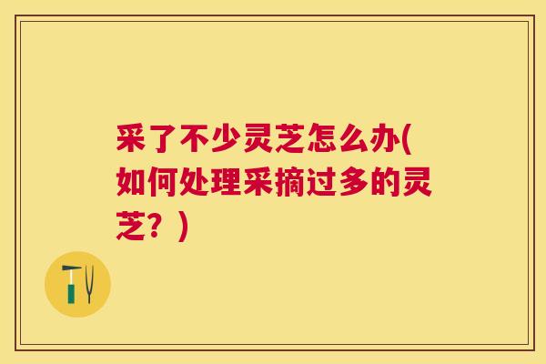 采了不少灵芝怎么办(如何处理采摘过多的灵芝？)