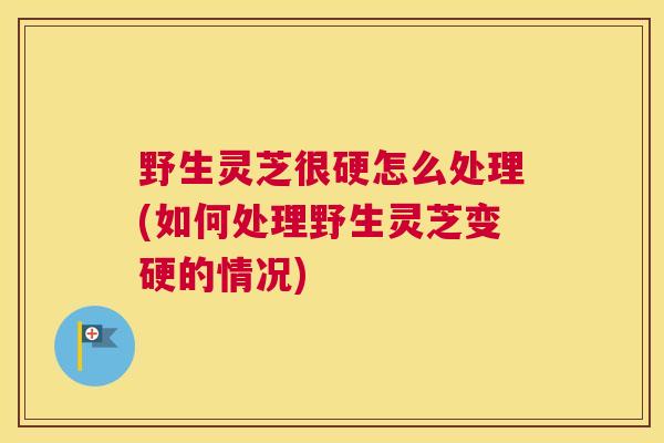 野生灵芝很硬怎么处理(如何处理野生灵芝变硬的情况)