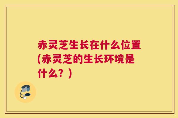 赤灵芝生长在什么位置(赤灵芝的生长环境是什么？)