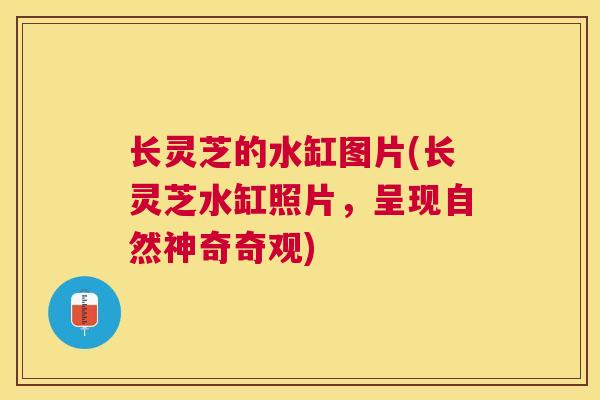 长灵芝的水缸图片(长灵芝水缸照片，呈现自然神奇奇观)