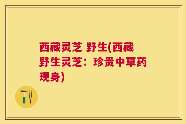 西藏灵芝 野生(西藏野生灵芝：珍贵中草药现身)