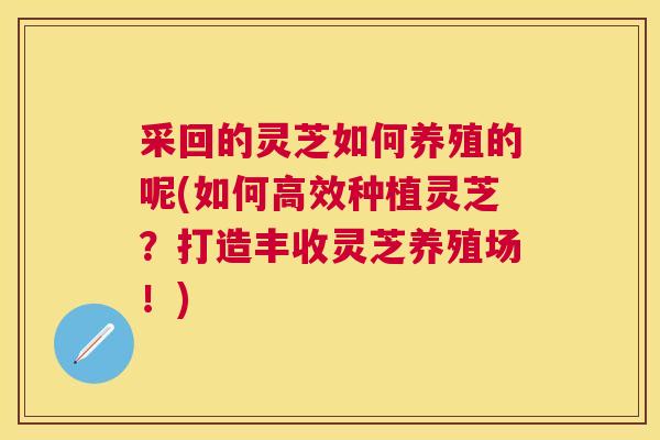 采回的灵芝如何养殖的呢(如何高效种植灵芝？打造丰收灵芝养殖场！)