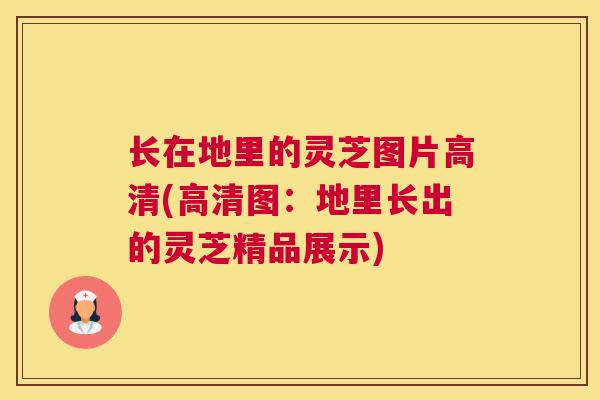 长在地里的灵芝图片高清(高清图：地里长出的灵芝精品展示)