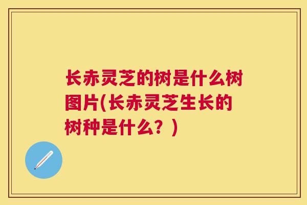 长赤灵芝的树是什么树图片(长赤灵芝生长的树种是什么？)