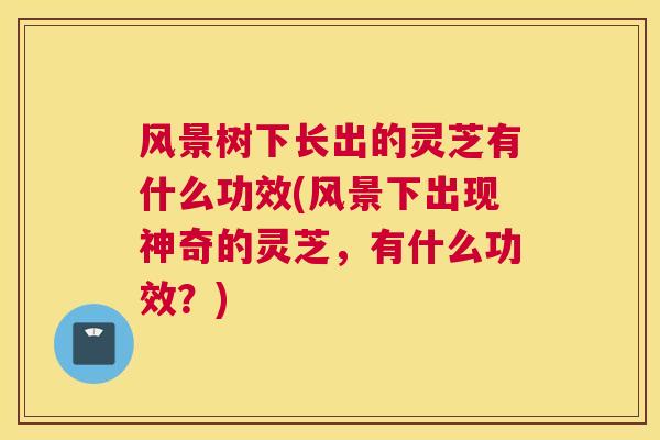 风景树下长出的灵芝有什么功效(风景下出现神奇的灵芝，有什么功效？)