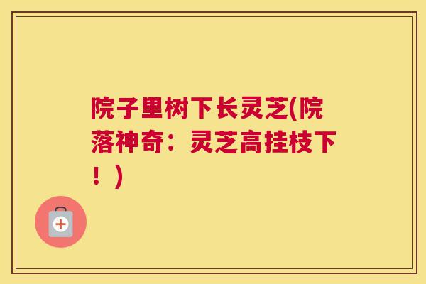 院子里树下长灵芝(院落神奇：灵芝高挂枝下！)