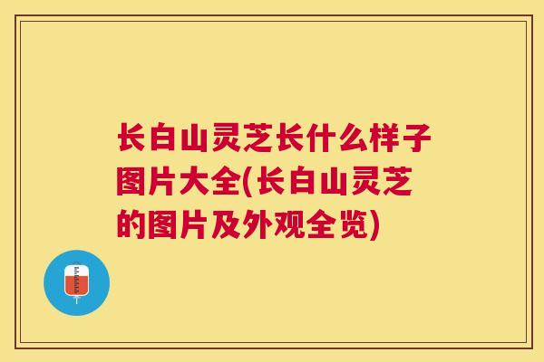 长白山灵芝长什么样子图片大全(长白山灵芝的图片及外观全览)