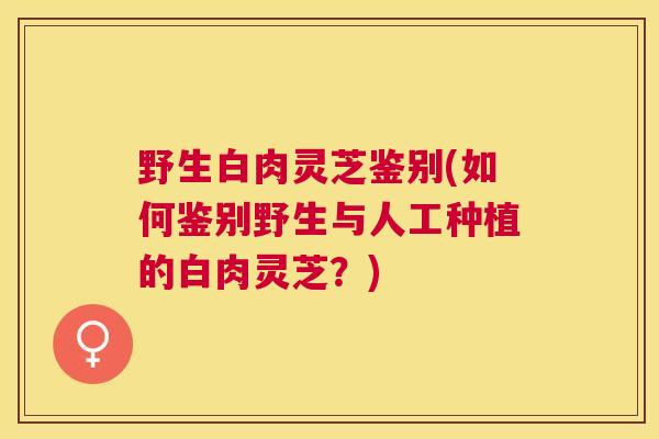 野生白肉灵芝鉴别(如何鉴别野生与人工种植的白肉灵芝？)