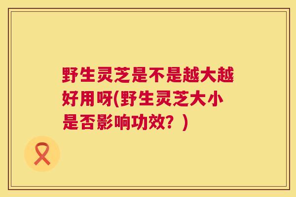 野生灵芝是不是越大越好用呀(野生灵芝大小是否影响功效？)