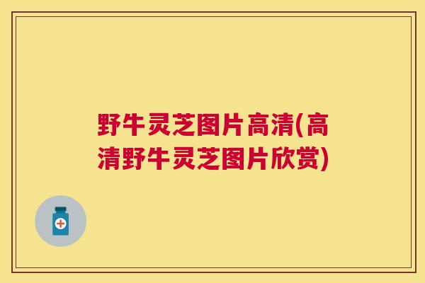 野牛灵芝图片高清(高清野牛灵芝图片欣赏)