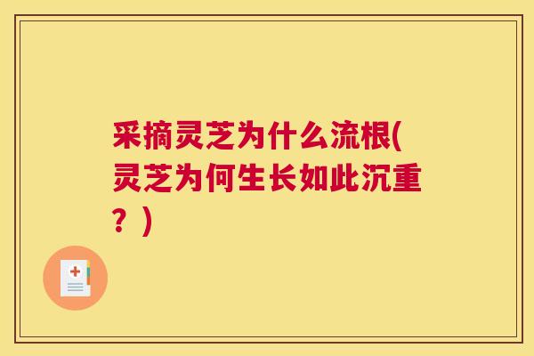 采摘灵芝为什么流根(灵芝为何生长如此沉重？)