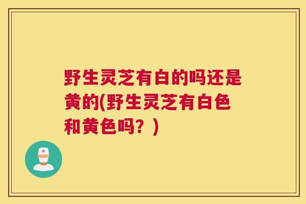 野生灵芝有白的吗还是黄的(野生灵芝有白色和黄色吗？)