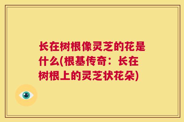 长在树根像灵芝的花是什么(根基传奇：长在树根上的灵芝状花朵)